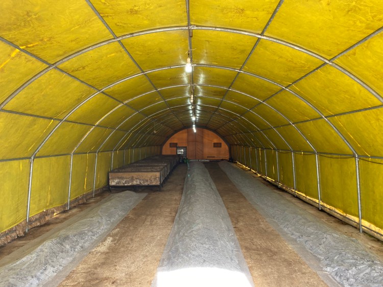 Solucan Gübresi Üretimi Nasıl&nbsp;Yapılır